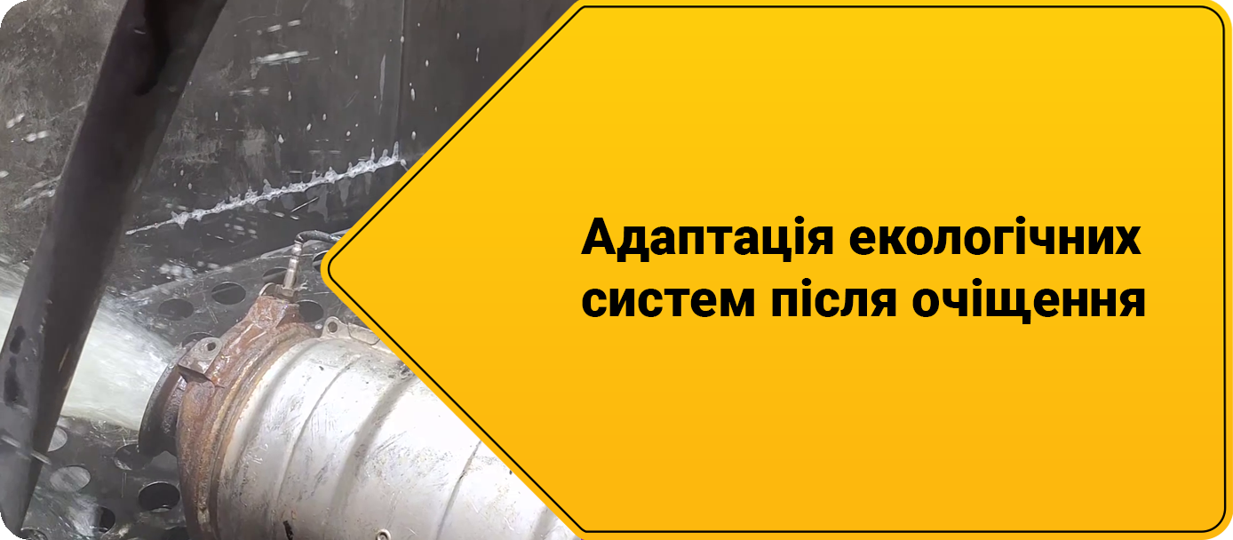 Адаптація екологічних систем після очіщення